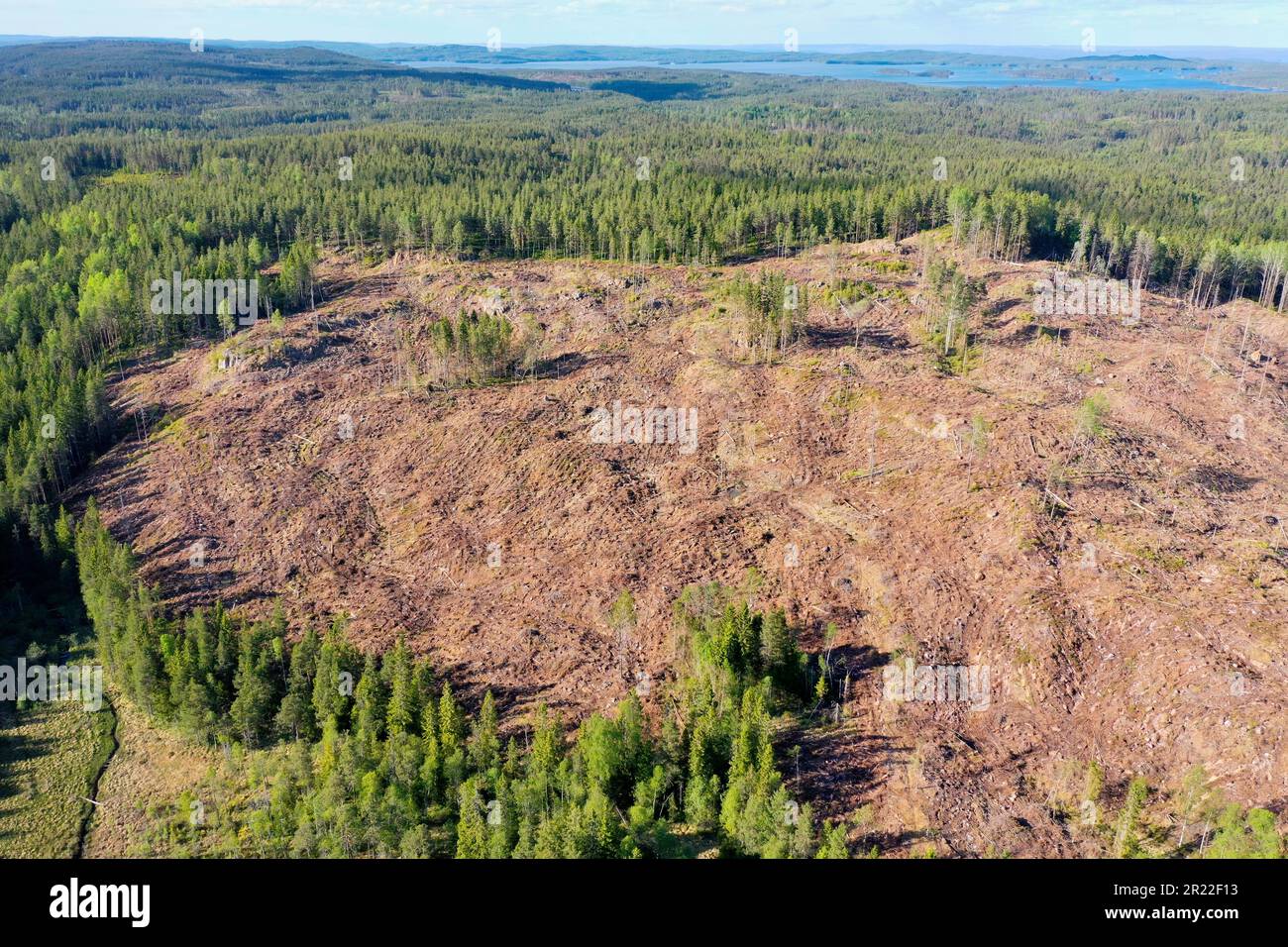 Entwaldung, Luftaufnahme, Schweden Stockfoto