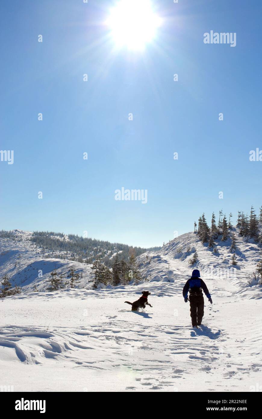 Eine Frau, die mit einem Hund im Schnee wandert. Mount Defiance, Columbia River Gorge, Oregon Stockfoto