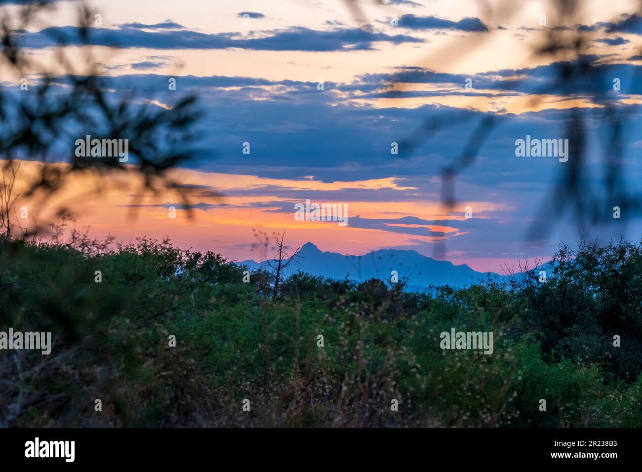 Sonnenuntergang in den Baboquivari Mountains südlich von Tucson, Arizona, vom Madera Canyon aus gesehen Stockfoto