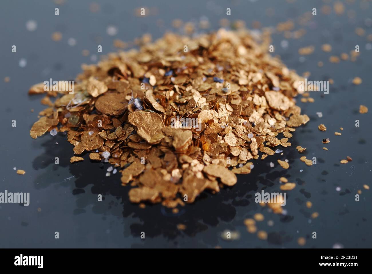 Makrofoto von rohem Alluvialplaziergold. Kleinere rohe Edelsteine, Platin- und schwarzer Sand, der üblicherweise mit Gold abgelagert wird, sind ebenfalls abgebildet. Stockfoto