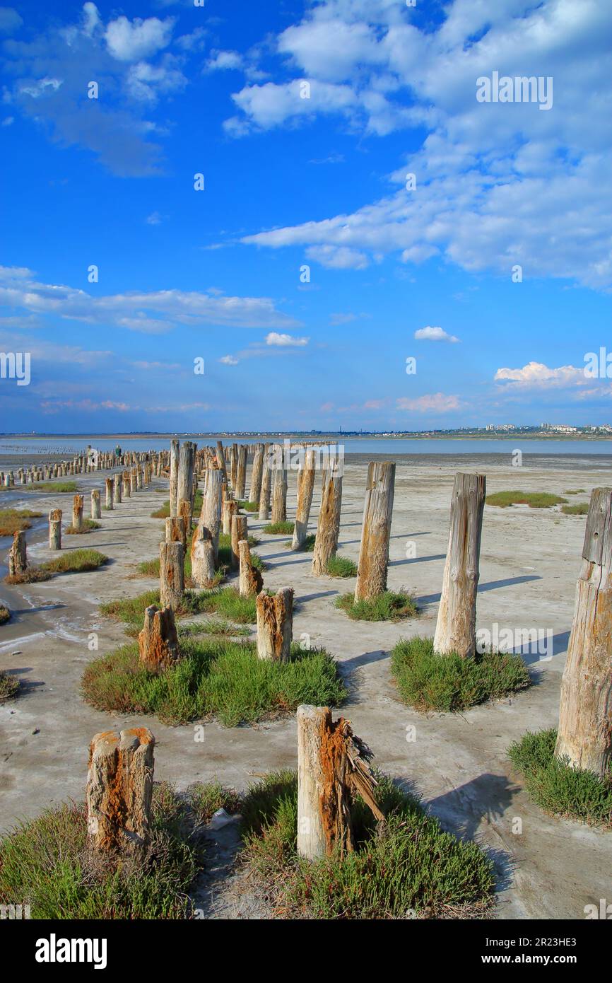 Foto wurde in der Ukraine aufgenommen. Das Bild zeigt die Landschaft der Mündung in der Nähe von Odessa namens Kuyalnik. Das Foto zeigt Holzstapel - die Überreste des Piers Stockfoto