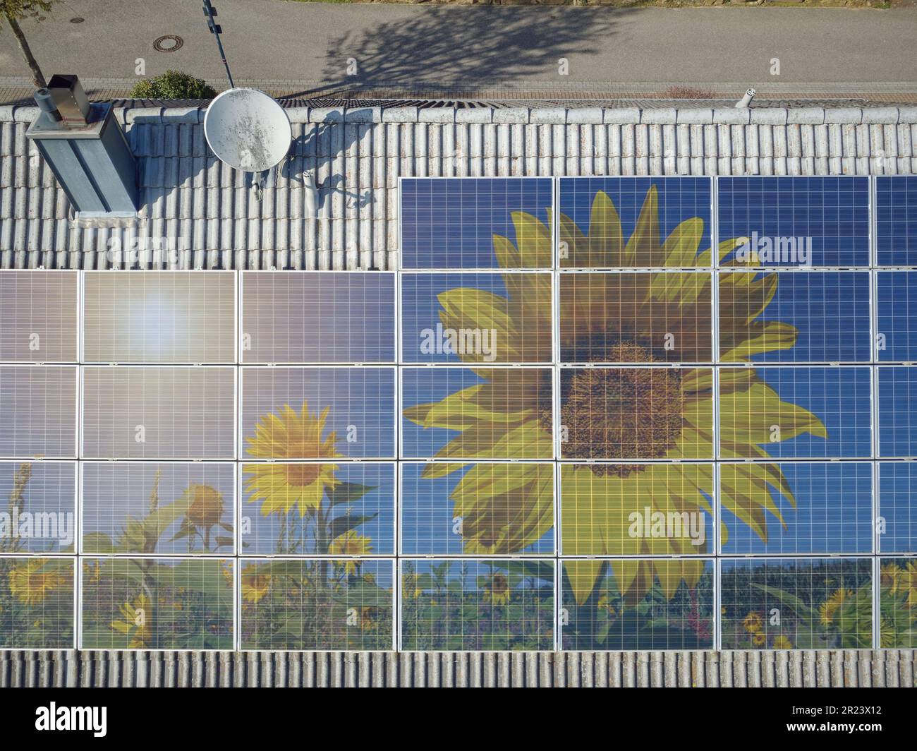 Photovoltaikpaneele älterer Bauart auf einem Hausdach, fotografiert mit einer Drohne. Sonnenblumen werden in den Paneelen als Symbol für grüne Elektrik dargestellt Stockfoto