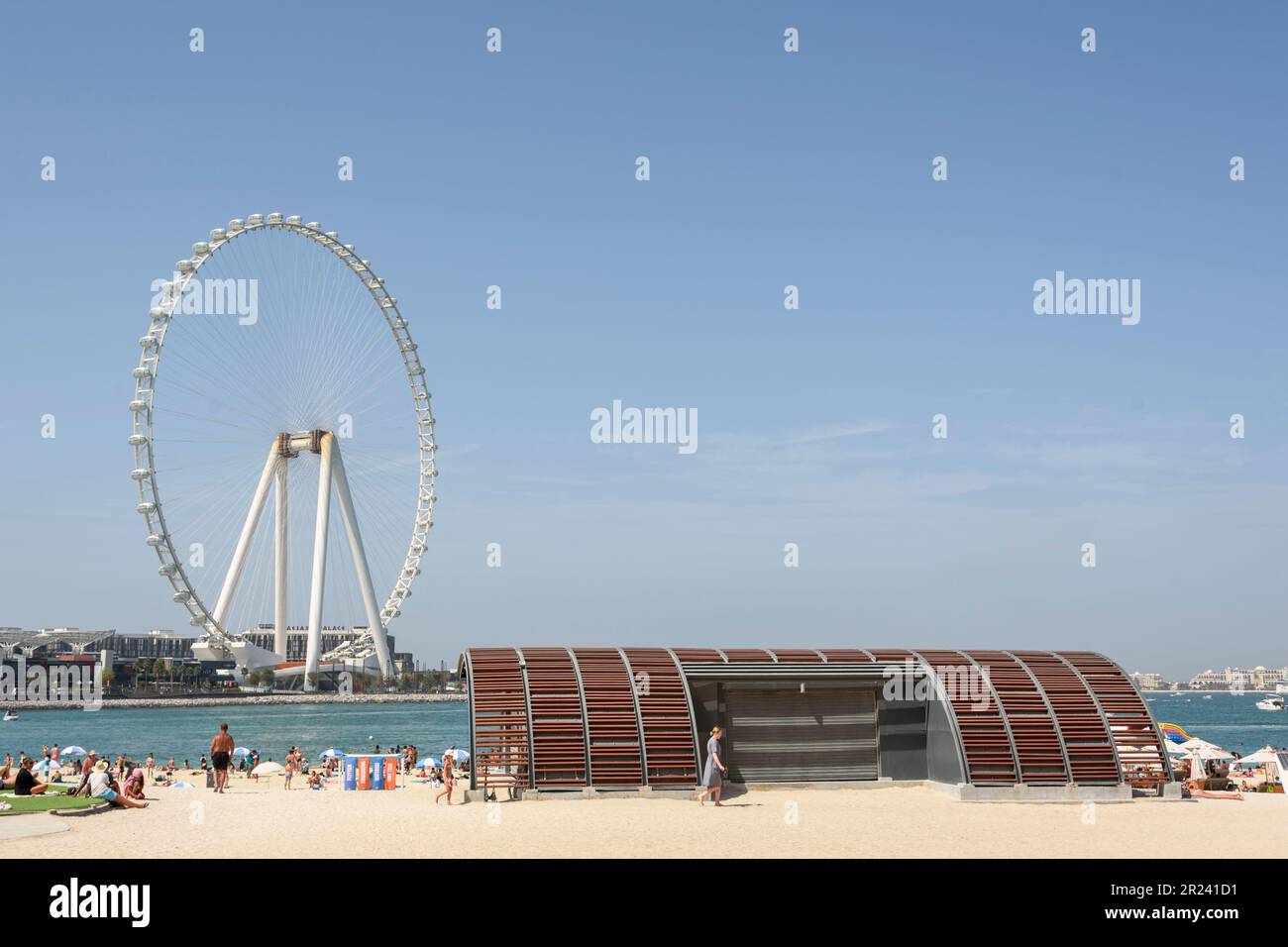Blick auf das Riesenrad von Ain Dubai vom Marina Beach aus. Mit einer Höhe von 210m m ist es das größte Riesenrad der Welt, Dubai, Vereinigte Arabische Emirate Stockfoto
