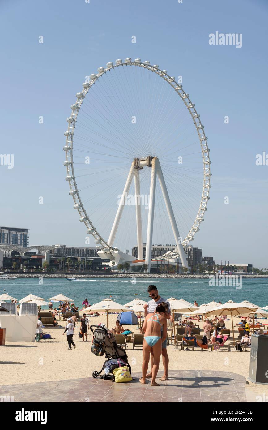 Blick auf das Riesenrad von Ain Dubai vom Marina Beach aus. Mit einer Höhe von 210m m ist es das größte Riesenrad der Welt, Dubai, Vereinigte Arabische Emirate Stockfoto