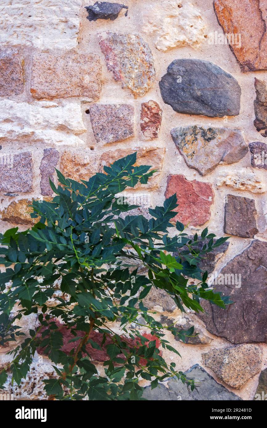 Alte Steinmauer. Grunge architektonischer Hintergrund Stockfoto