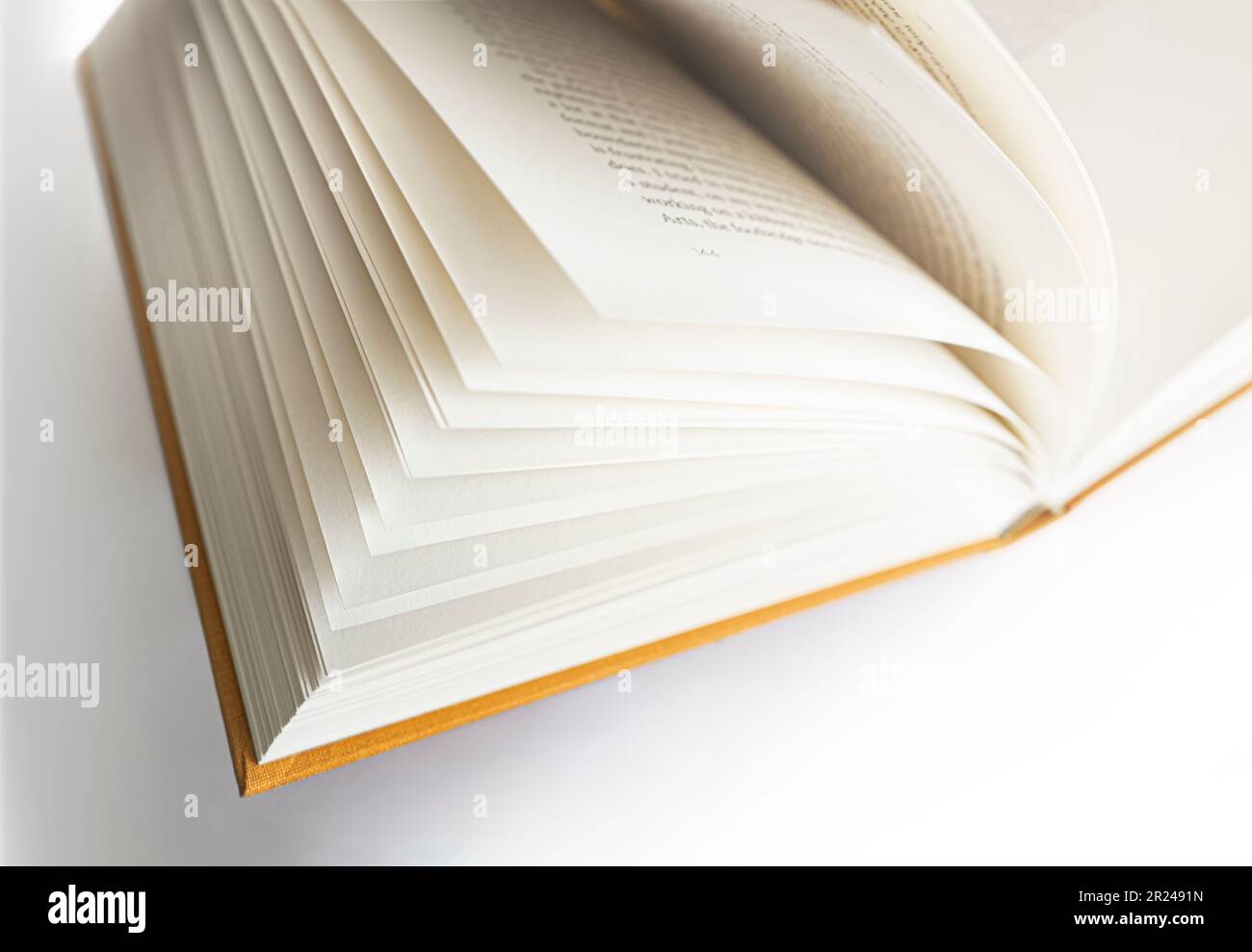 Großaufnahme Unschärfe-Effekte in einem offenen Buch. Leichte Fokussierung auf die linken Seiten und Hintergrundspeicher auf der rechten Seite. Stockfoto