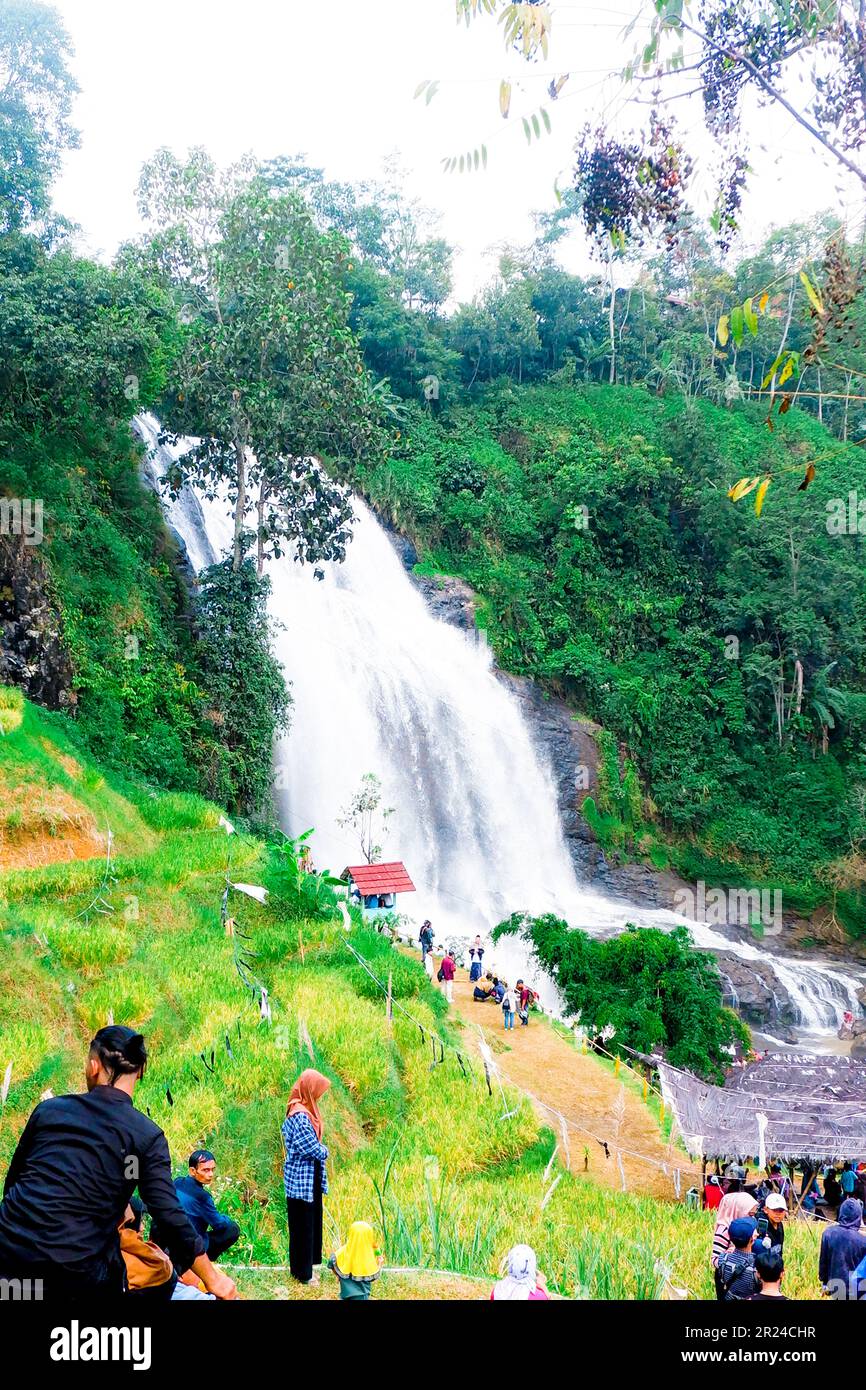 Wasserfall im Dschungel Stockfoto