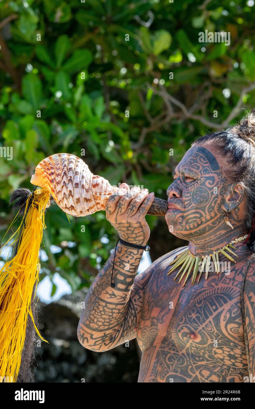 Französisch-Polynesien, Gesellschaftsinseln, Raiatea. Dorfältester bedeckt mit traditionellen Tattoos, die Muschelhorn blasen. Stockfoto
