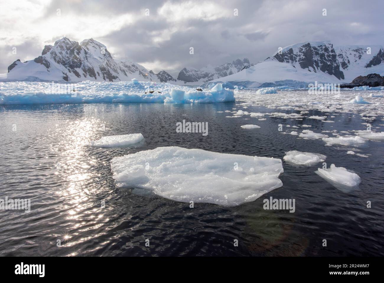 Cuverville, Antarktis. Die zerbrochene Eisscholle im Errera-Kanal. Stockfoto