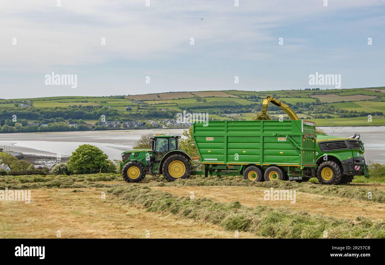 Kieran Crowley Agri-Lohnunternehmen, die Grassilage in der Nähe von Kilbrittain, Co Cork, 2023. Mai Stockfoto