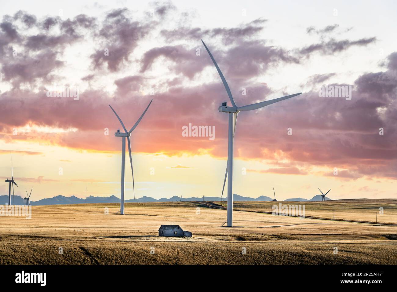 Windmühlen bei Sonnenuntergang, die grüne Energie erzeugen und über beerntete landwirtschaftliche Felder und entfernte Berge mit einer rustikalen Scheune in den kanadischen Prärien blicken. Stockfoto