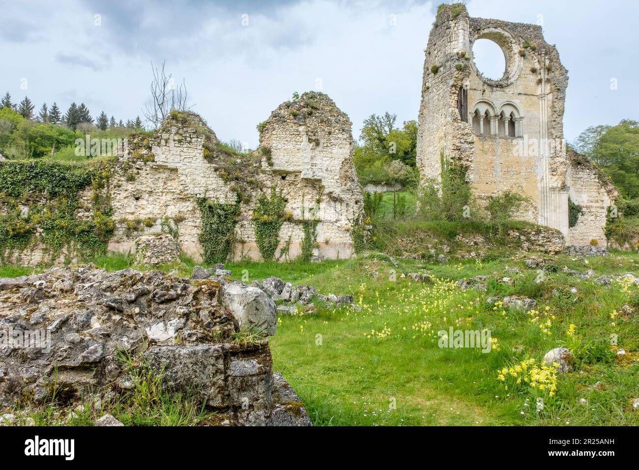 Die Abtei Mortemer ist ein ehemaliges zisterzienserkloster im Wald von Lyon || L'abbaye de Mortemer est un ancien monastere cistercien dans la foret de Stockfoto