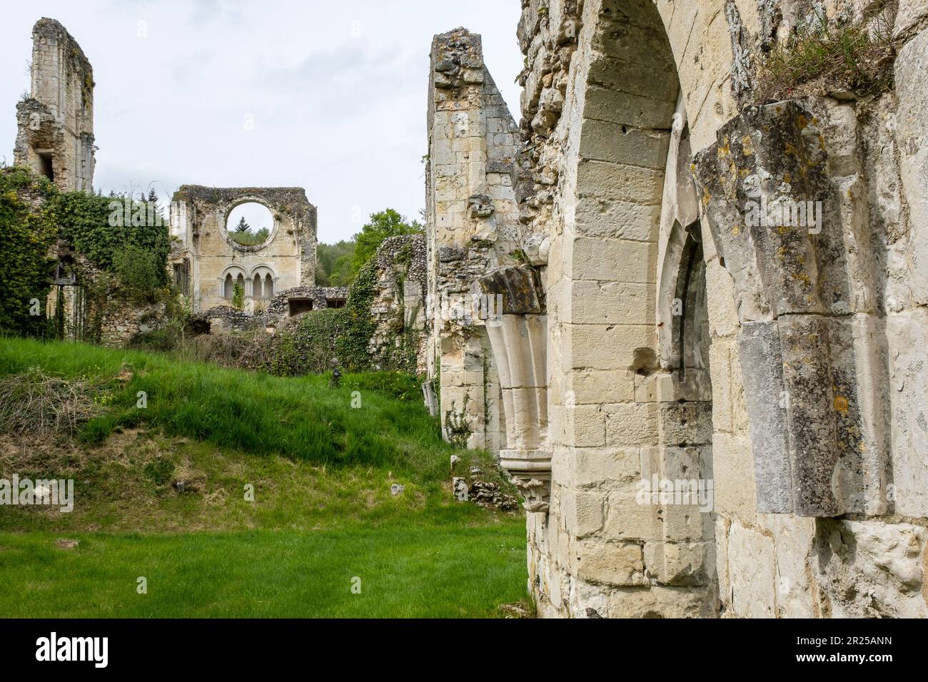 Die Abtei Mortemer ist ein ehemaliges zisterzienserkloster im Wald von Lyon || L'abbaye de Mortemer est un ancien monastere cistercien dans la foret de Stockfoto