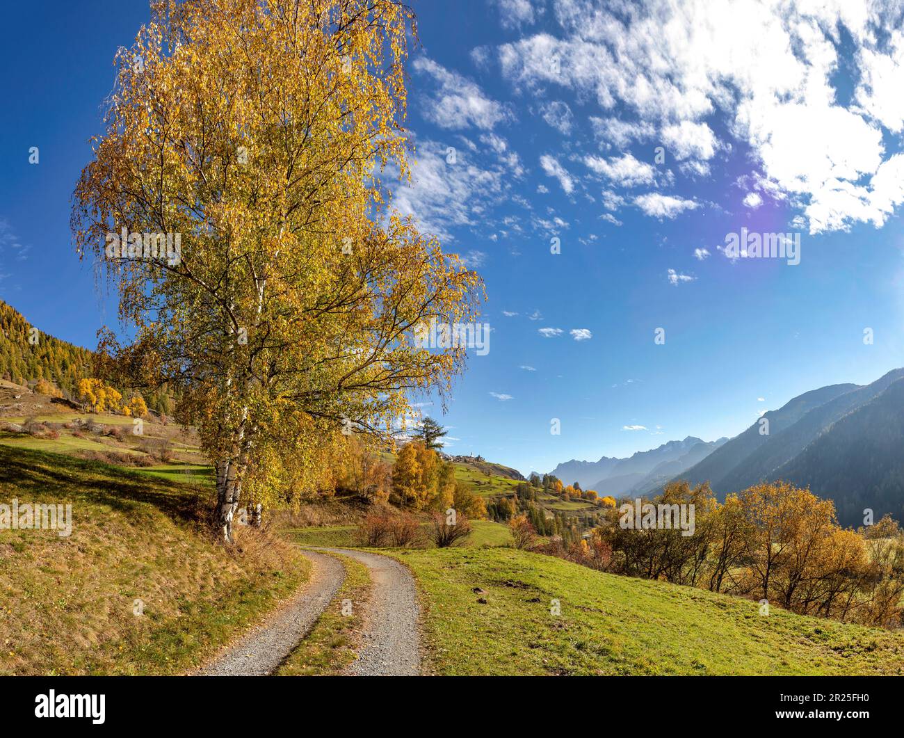 The Inn Valley *** Lokale Bildunterschrift *** Lavin - Guarda, , Schweiz, Landschaft, Feld, Wiesen, Bäume, Herbst, Berge, Hügel, Stockfoto