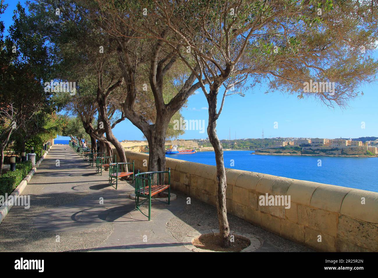 Das Foto wurde im Januar im Stadtgarten von Valletta in Malta gemacht, der unteren Barrakka Gardensim genannt wurde. Das Bild zeigt die Gartengasse Stockfoto