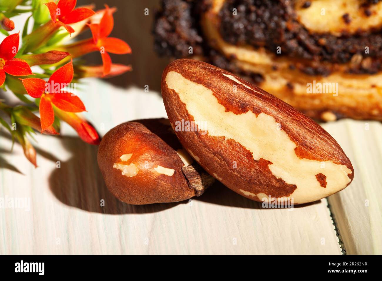 paranuss auf Holzhintergrund Stockfoto