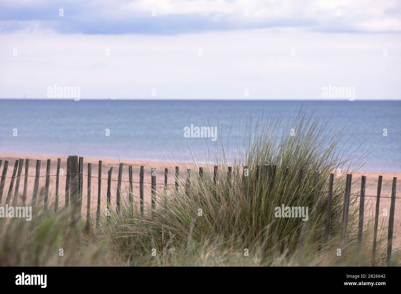Neutrale Farben, minimalistische Meereslandschaft. Stimmungsvolle Stimmung am Strand, Küstenpflanzen, Holzzaun. Schönheit der Natur auf dem Meer Urlaub von Romantik Stockfoto