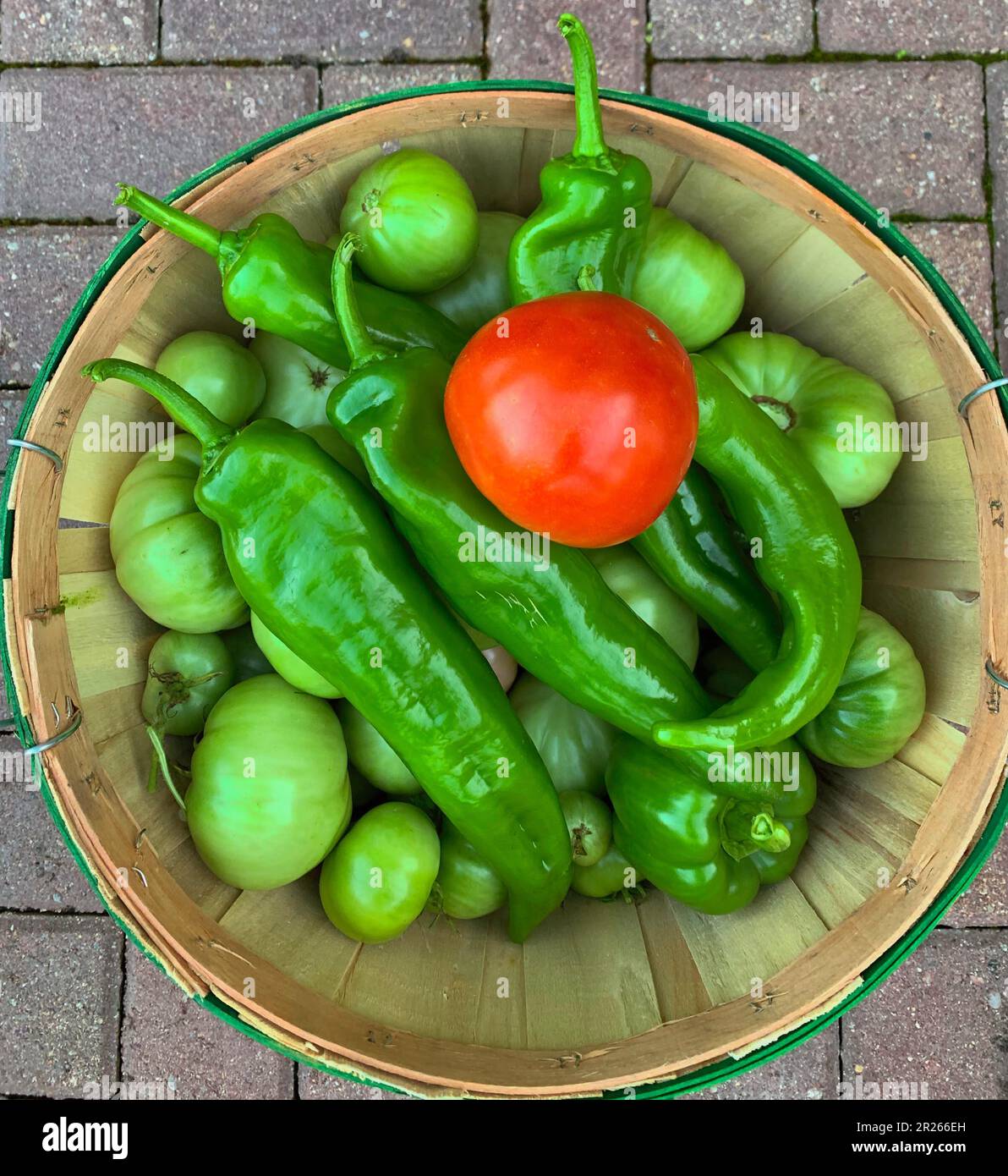 Blick von oben auf einen Korb mit einer roten Tomate, grünen Paprika und einigen grünen Tomaten. Stockfoto