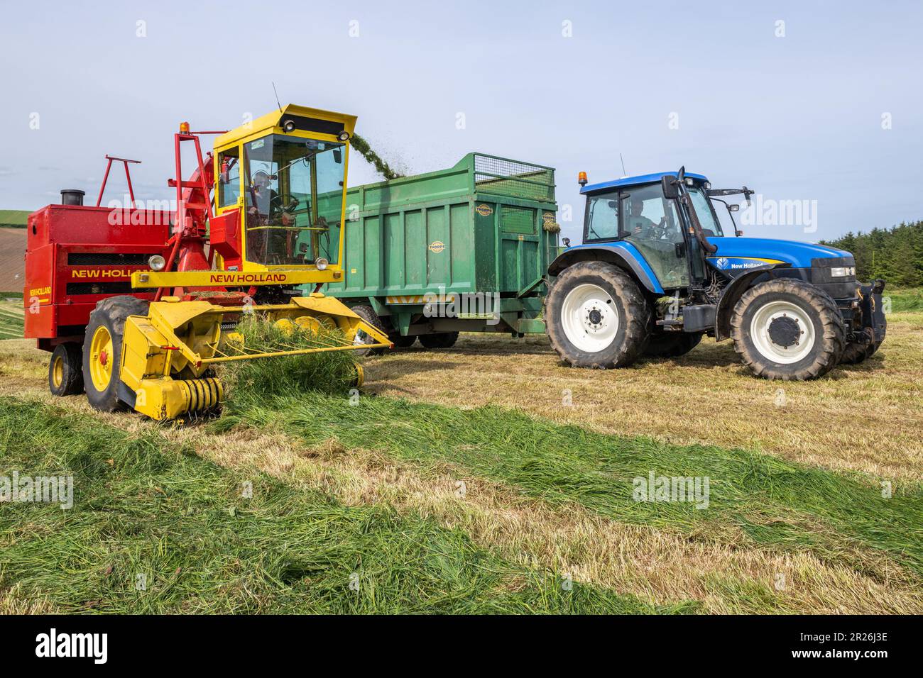 Kilbrittain, West Cork, Irland. 17. Mai 2023. Noel O'Donovan zieht Silage für den Farmer Tim O'Connell, der Milch, Rindfleisch und Bodenbearbeitung anbaut, und verwendet seinen 1976 New Holland 1895 Crop Cruiser Forage Harvester, den er selbst restaurierte. Kredit: AG News/Alamy Live News Stockfoto