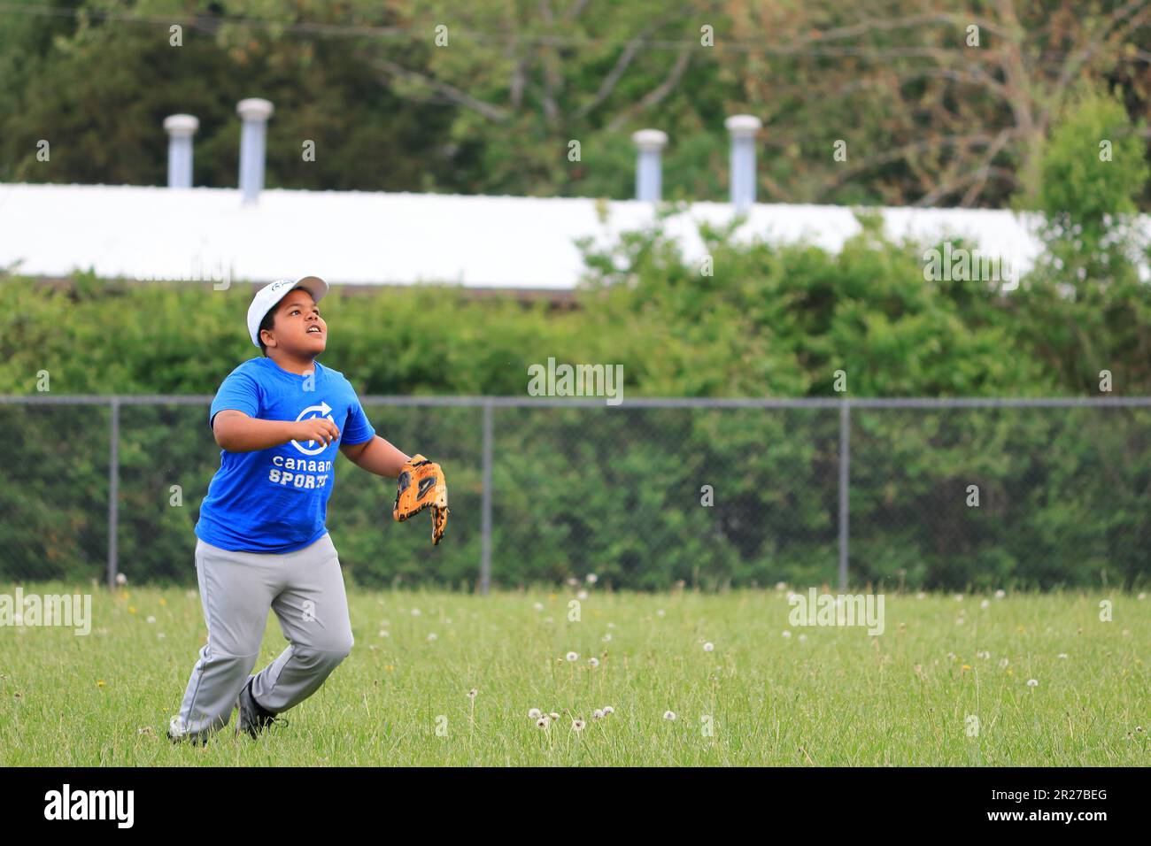 Ein afroamerikanischer Jugendlicher, der versucht, während eines Softballspiels eine Pop Fliege im Außenfeld zu fangen Stockfoto