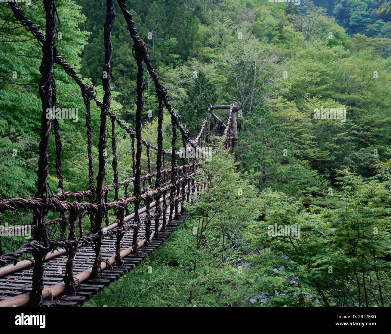 Oku-Iya doppelte Kazura-Brücke Stockfoto