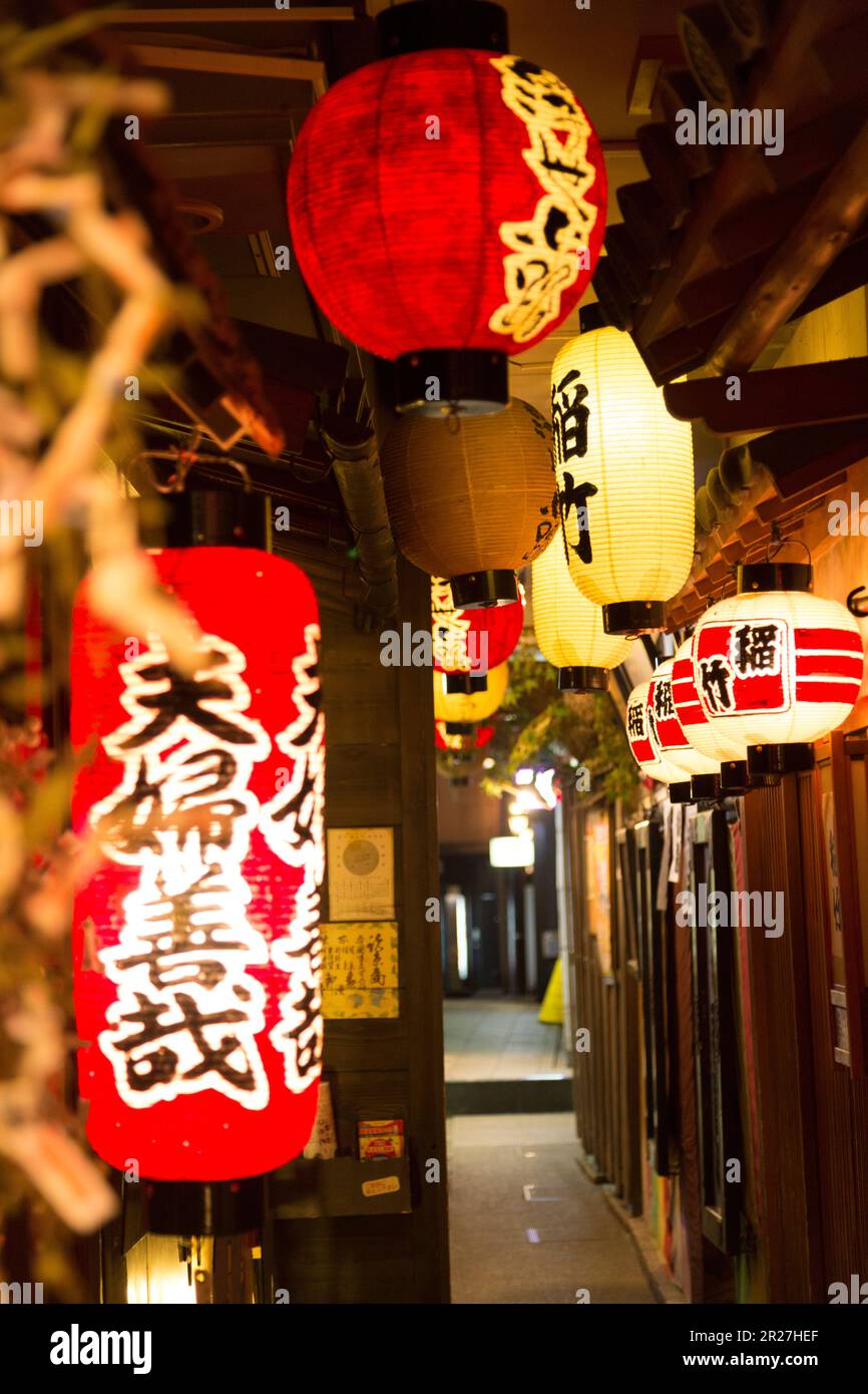 Ukiyoe Allee ( Holzblockabdruck ) in Dotonbori Stockfoto