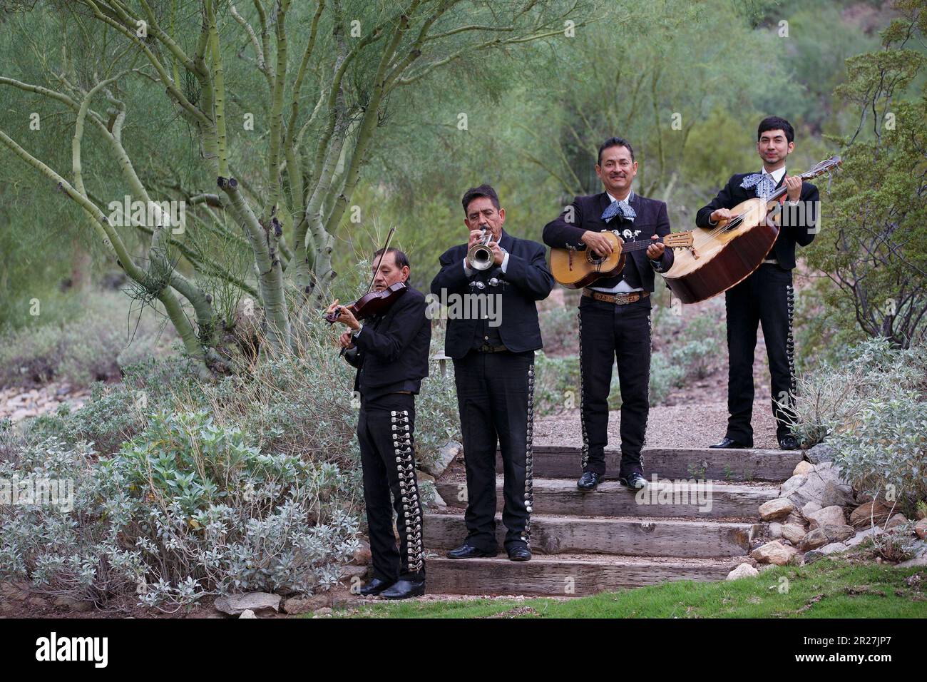 Vier Männer in der Mariachi-Band spielen Musikinstrumente (Violine, Trompete, Vihuela, guitarrón) in Outdoor-Aufführungen, Sonoran Desert, Tucson, Arizona. Stockfoto