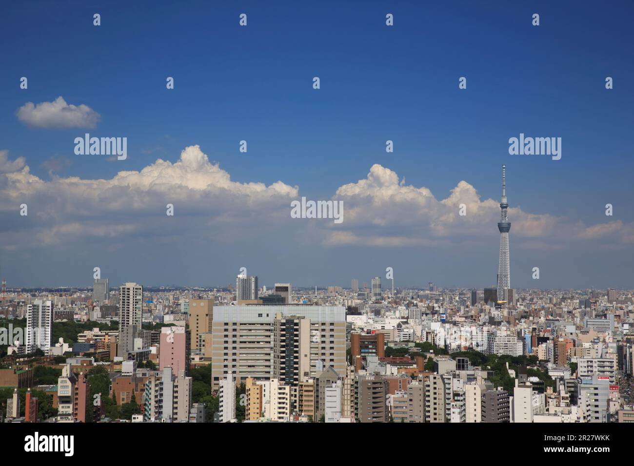 Sommerwolken und Tokyo Skytree Stockfoto