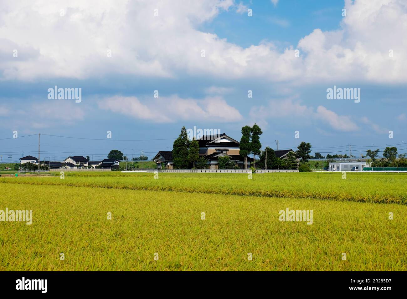 Sankyoson Village (verstreute Häuser in einem Dorf) und die Szene der Reisfelder Stockfoto
