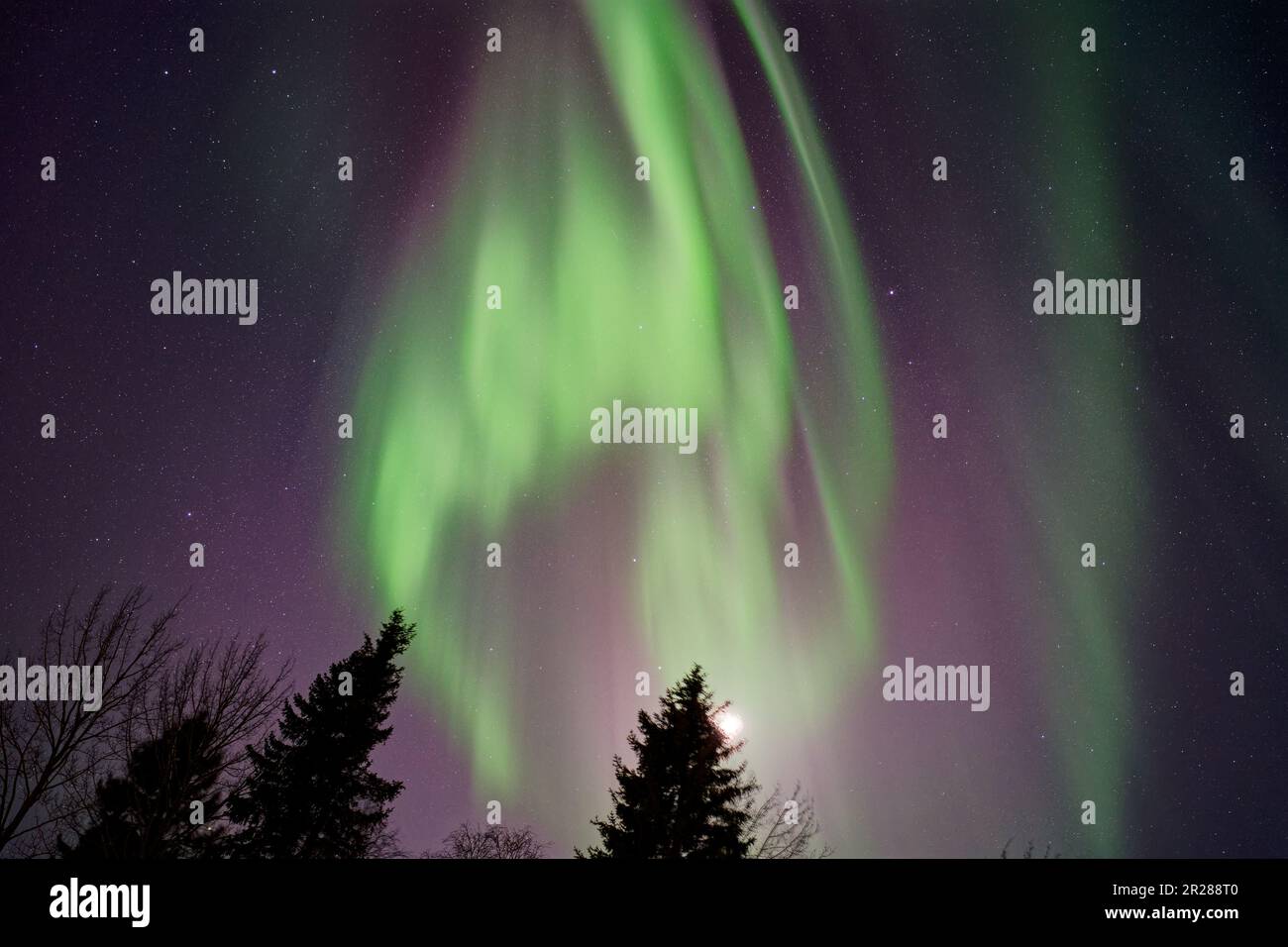 Aurora Borealis (Polarlicht) in Rovaniemi in Finnland Stockfoto