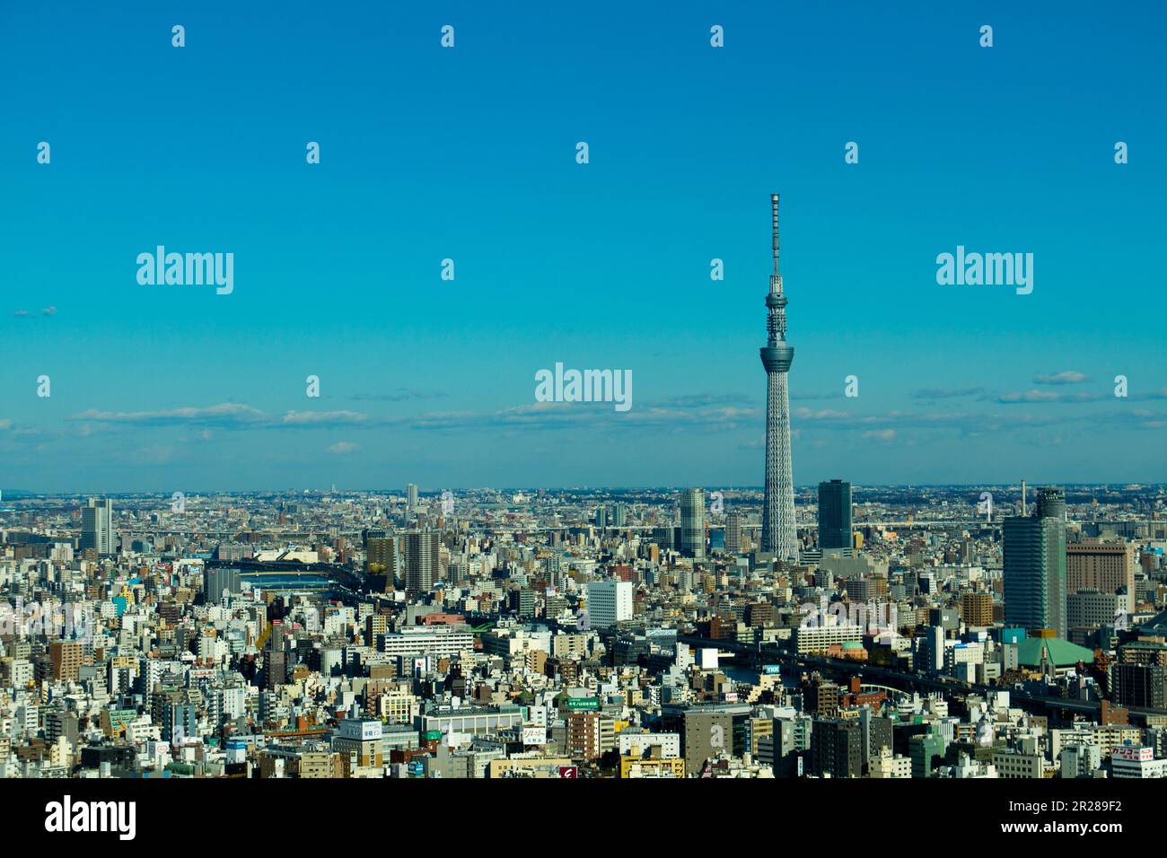 Tokyo Sky Tree und Ryogoku Kokugikan Stockfoto