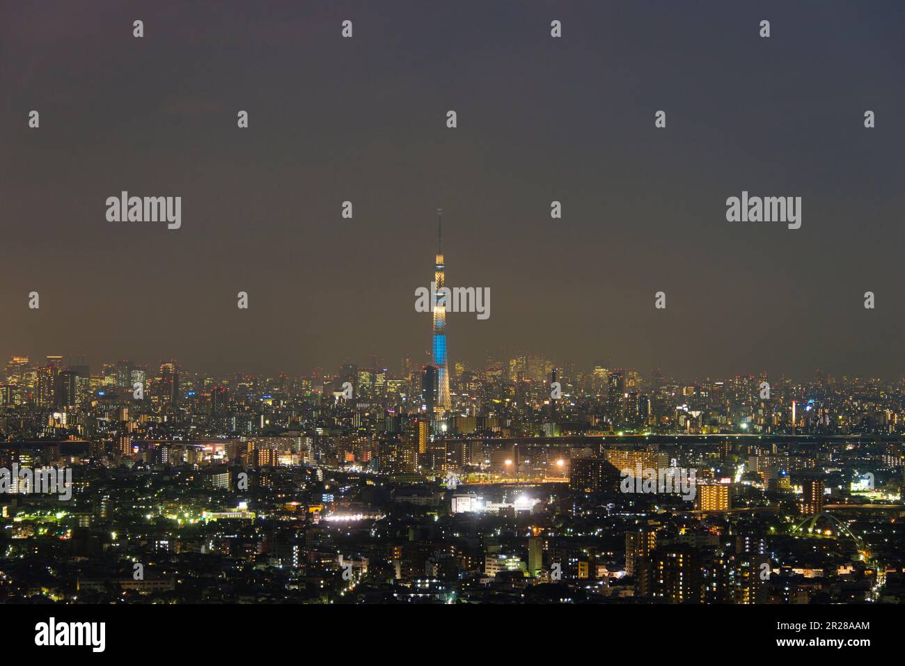 Tokyo Sky Tree erleuchtet (trendy) und Shinjukus Stadtzentrum Stockfoto
