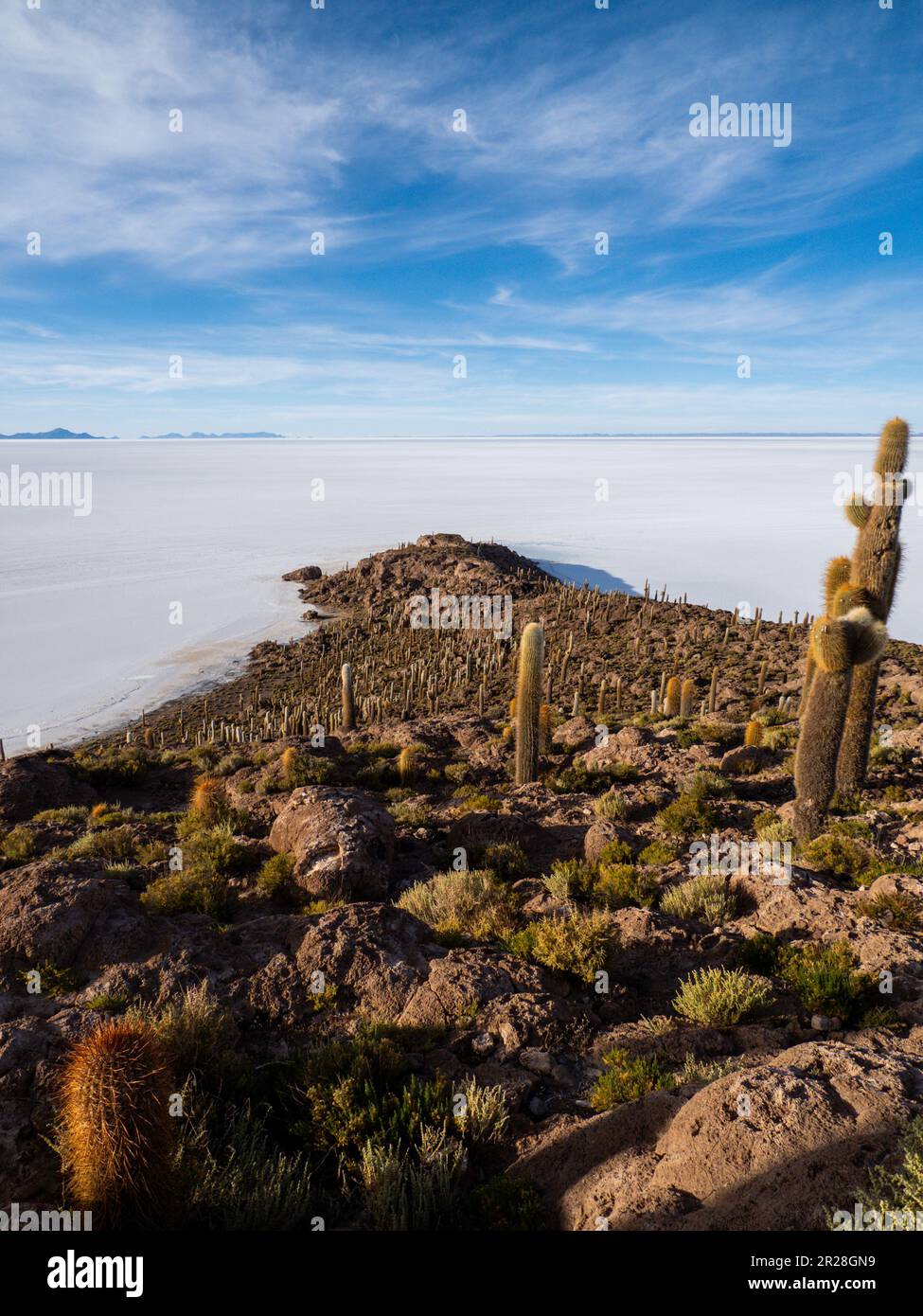 Entdecken Sie die surreale Schönheit der Isla Incahuasi auf dem faszinierenden Salar de Uyuni in Bolivien. Tauchen Sie ein in die einzigartige Oase inmitten der Salzebenen Stockfoto