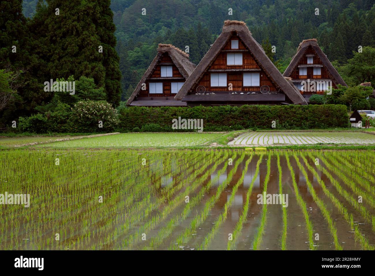 Shirakawago im Frühling Ein Rahmenhaus Stockfoto