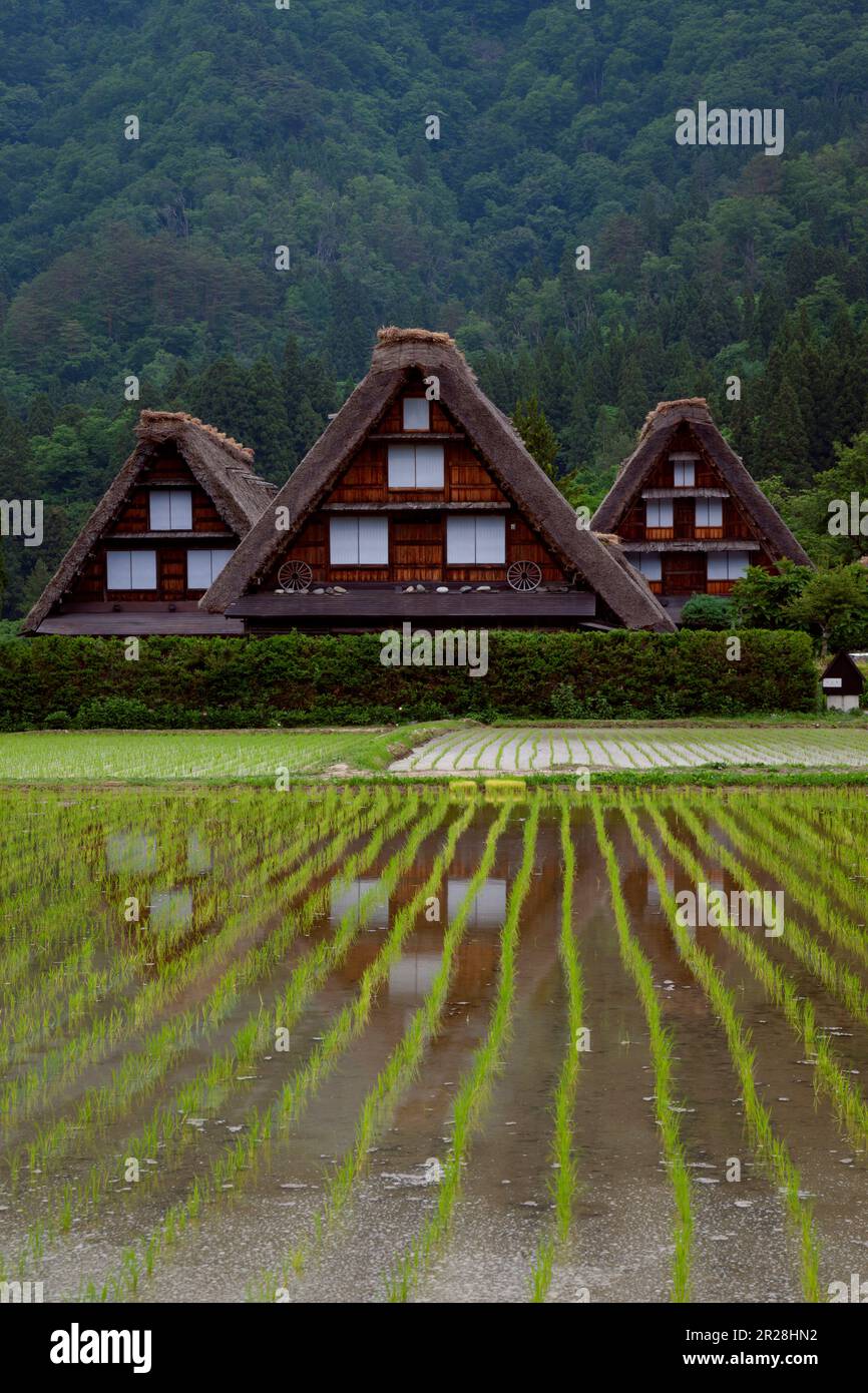 Shirakawago im Frühling Ein Rahmenhaus Stockfoto