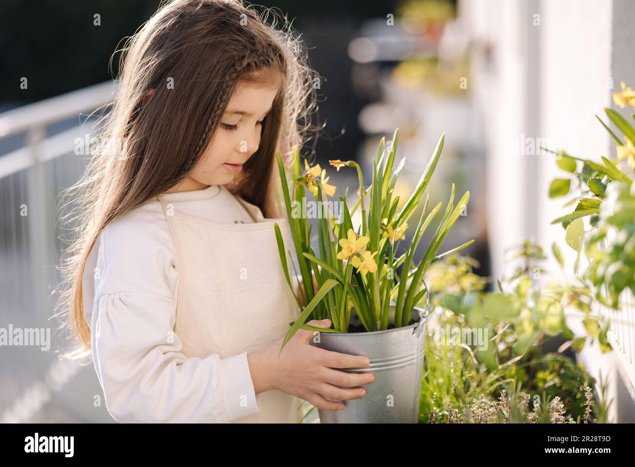 Portrait eines niedlichen kleinen Mädchens, das Narzissen in einem Metalleimer neben dem Blumenbeet hält. Gartenarbeit im Freien Stockfoto