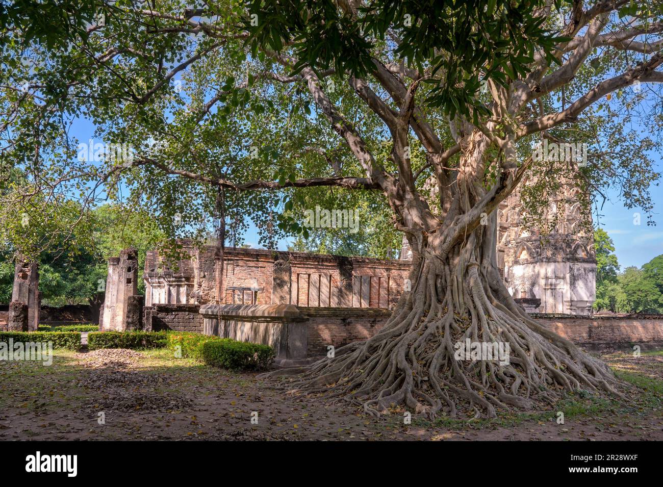 Wat Si Sawai im Sukhothai National Historical Park, Sukhothai, Thailand Stockfoto