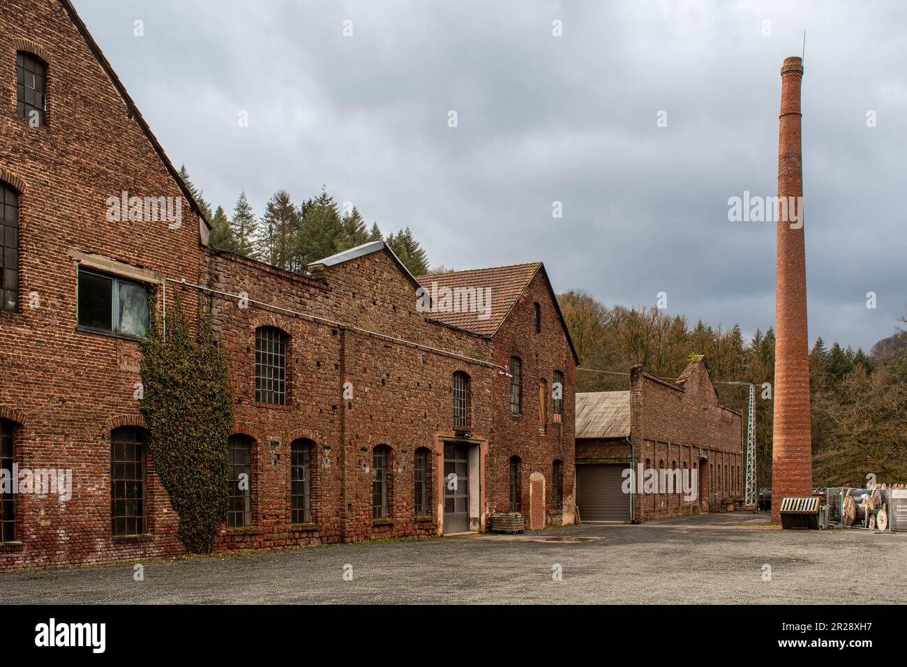 Industrieller Charme und natürliches Grün in einem alten Fabrikgebäude Stockfoto