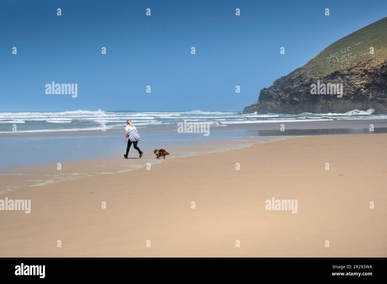 Eine Frau und ihr Hund Rennen auf das Meer am Mawgan Porth Beach in Cornwall, Großbritannien. Stockfoto