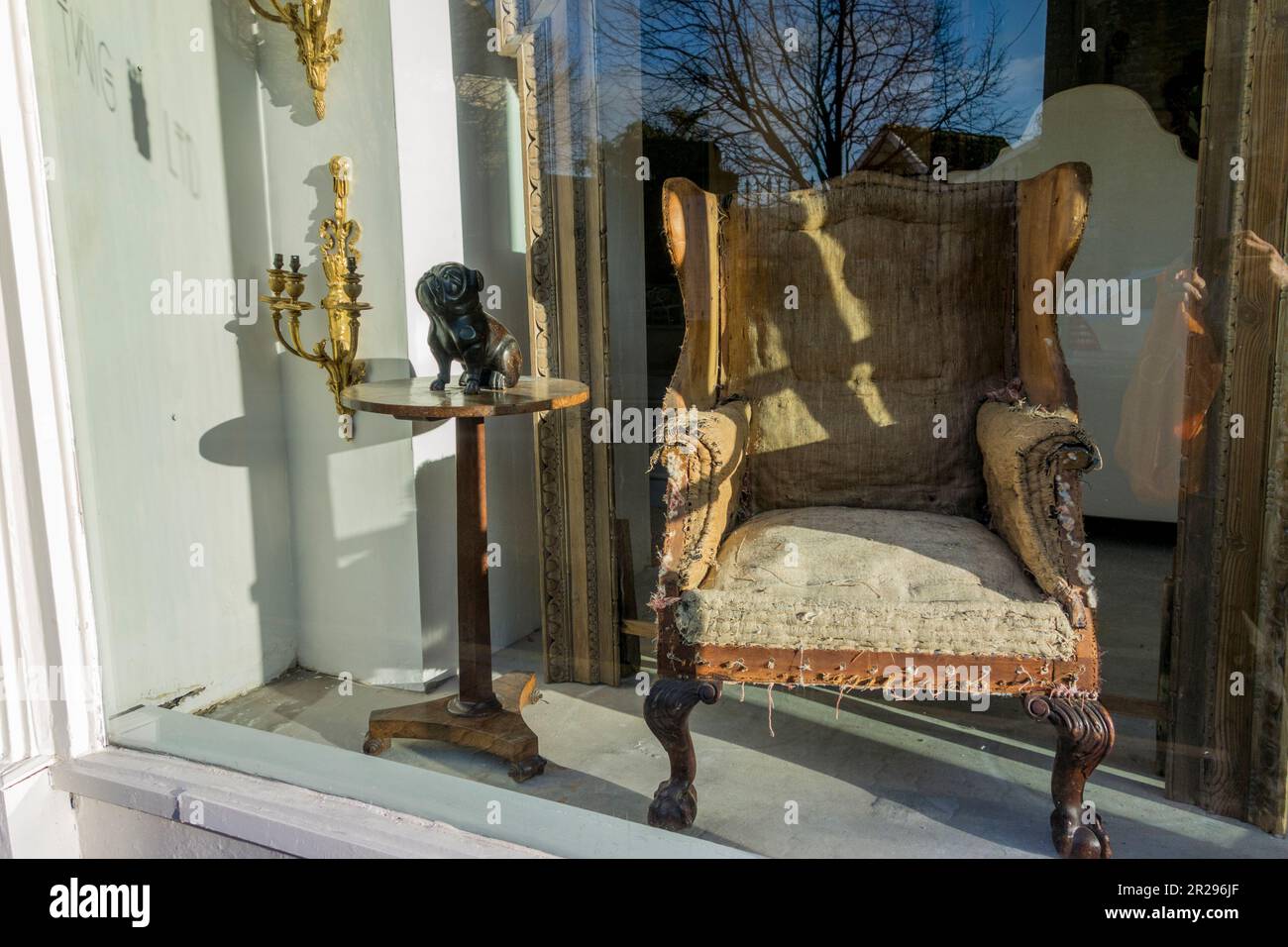 Schwer beschädigte Stuhlausstellung im Antiquitätenladen, Tetbury, Gloucestershire, Großbritannien Stockfoto