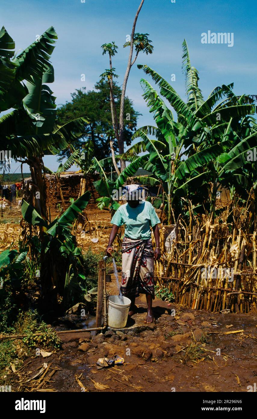 Mangu Village Kenya Village Szene - Frau, Die Wasser Aus Standpipe Sammelt Stockfoto