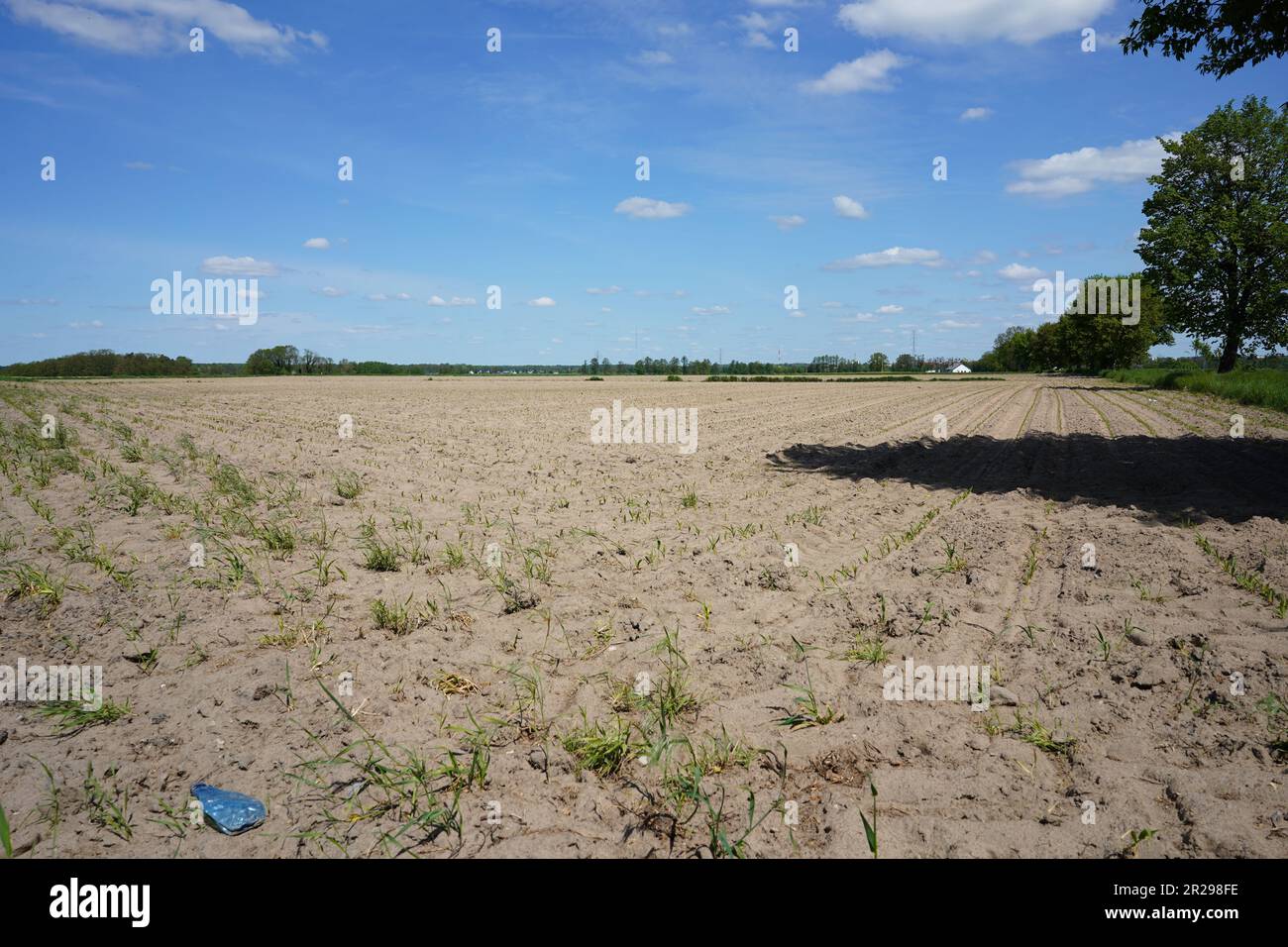 Leeres Feld. Landschaftsbau für die Landwirtschaft. Stockfoto