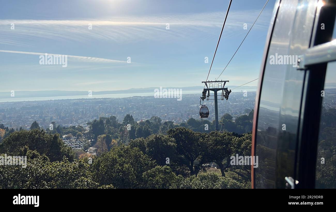 Vereinigte Staaten. 23. November 2022. Blick von der Seite einer Gondel im Oakland Zoo, Oakland, Kalifornien, 23. November 2022. Foto mit freundlicher Genehmigung von Sftm. (Foto: Gado/Sipa USA) Guthaben: SIPA USA/Alamy Live News Stockfoto