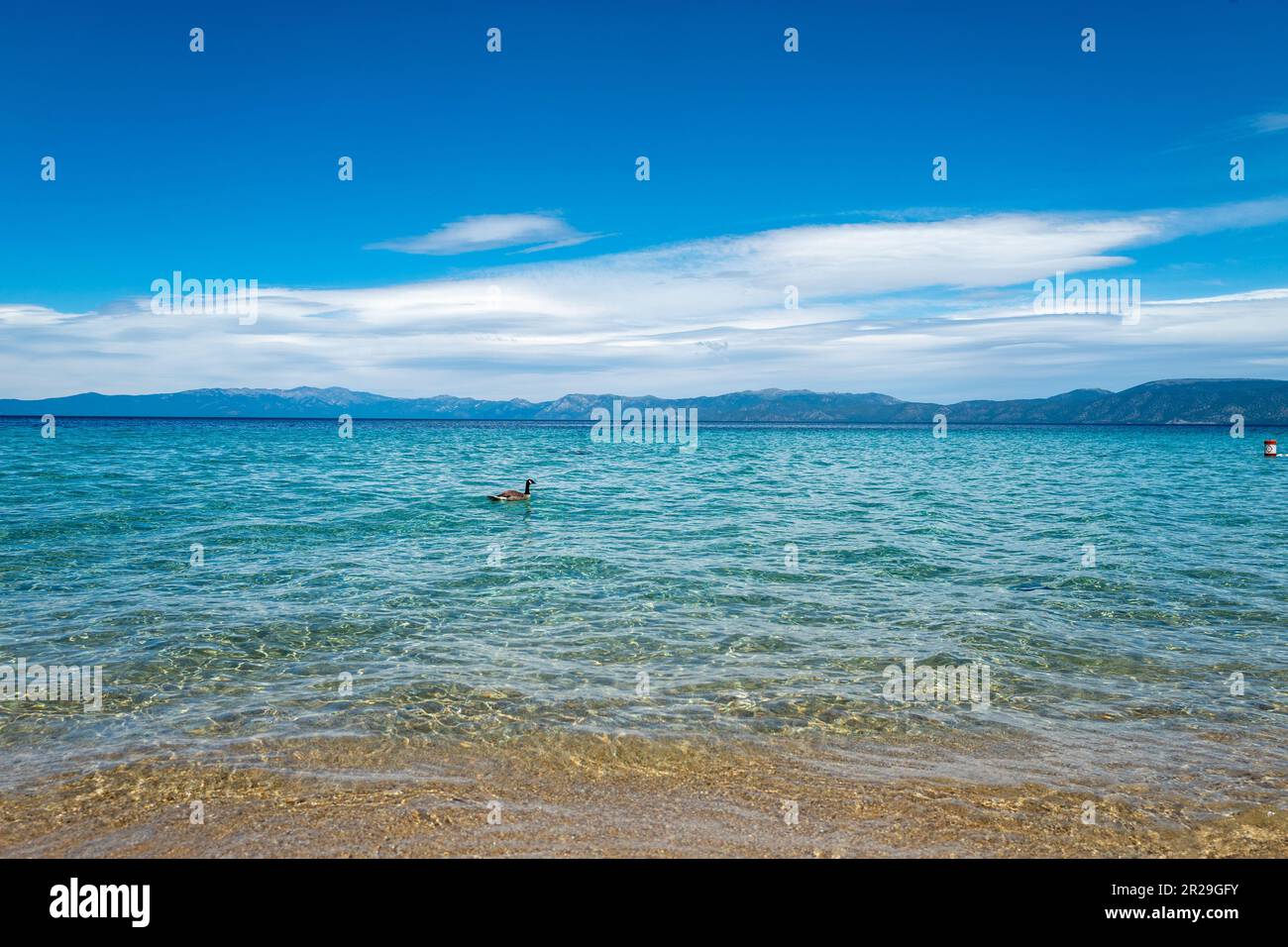 Vereinigte Staaten. 17. Juni 2022. Sand und das blaue Wasser des Lake Tahoe sind an einem sonnigen Tag am Lester Beach, DL Bliss State Park, South Lake Tahoe, Kalifornien, 17. Juni 2022 zu sehen. Foto mit freundlicher Genehmigung von Sftm. (Foto: Gado/Sipa USA) Guthaben: SIPA USA/Alamy Live News Stockfoto