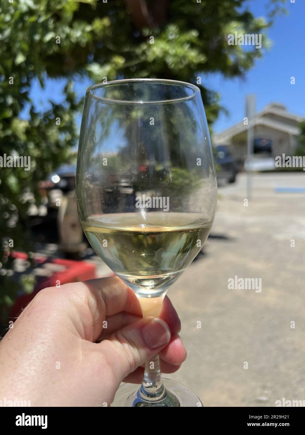 Vereinigte Staaten. 29. Mai 2022. Die Hand einer Person, die ein Glas chardonnay in Garre Vineyard in Livermore Wine Country, Livermore, Kalifornien, hält, 29. Mai 2022. (Foto: Smith Collection/Gado/Sipa USA) Guthaben: SIPA USA/Alamy Live News Stockfoto