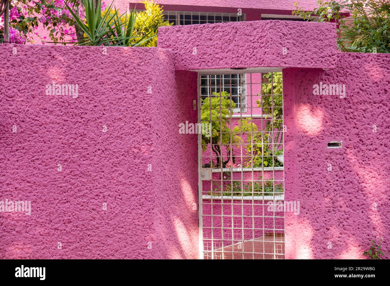Haus in Neonpink in Merida Yucatan Mexiko Stockfoto