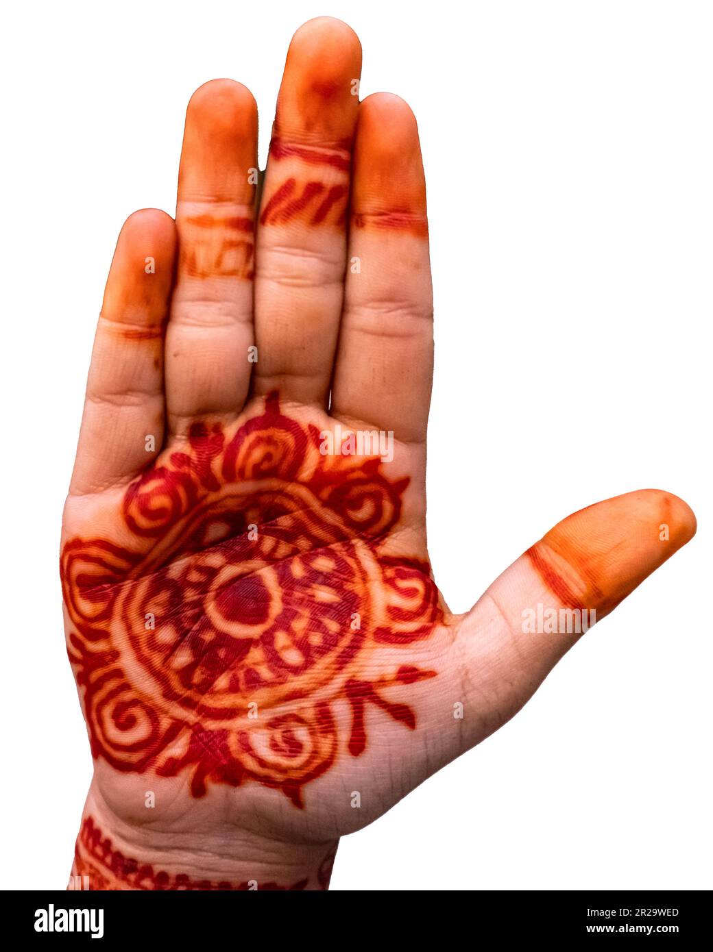 Zeichnen von Henna-Mehndi-Tattoo auf weiblicher Hand isoliert auf weißem Hintergrund mit Beschneidungspfad und Kopierbereich Stockfoto
