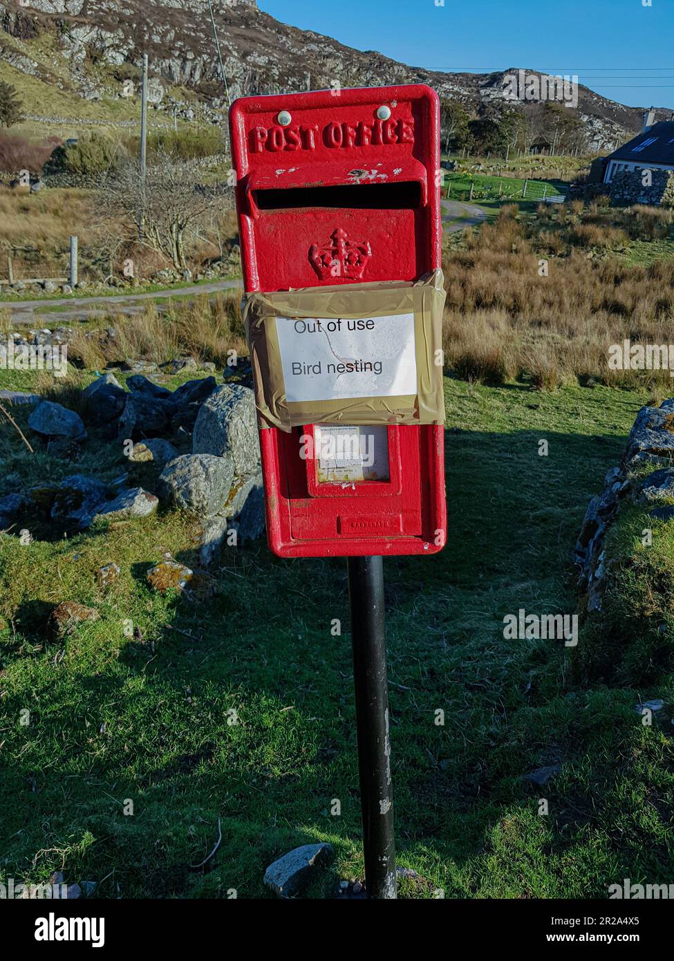 Ein Briefkasten, der wegen der nistenden Vögel außer Betrieb war - sehr britisch! Stockfoto