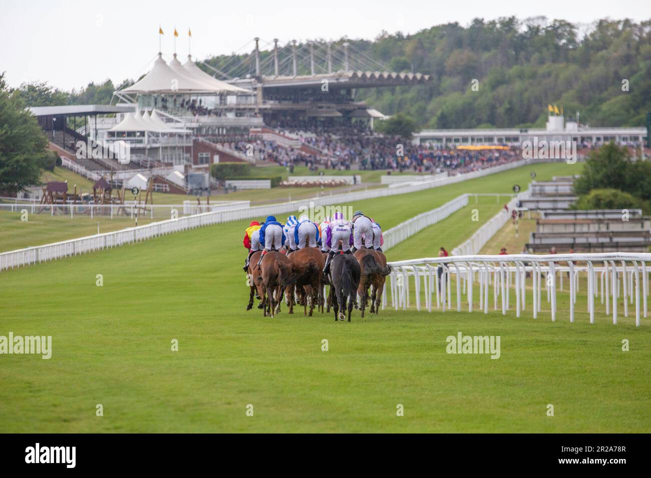 Pferde und Jockeys nähern sich der Ziellinie und fahren an den Tribünen der Goodwood Racecourse in West Sussex vorbei Stockfoto