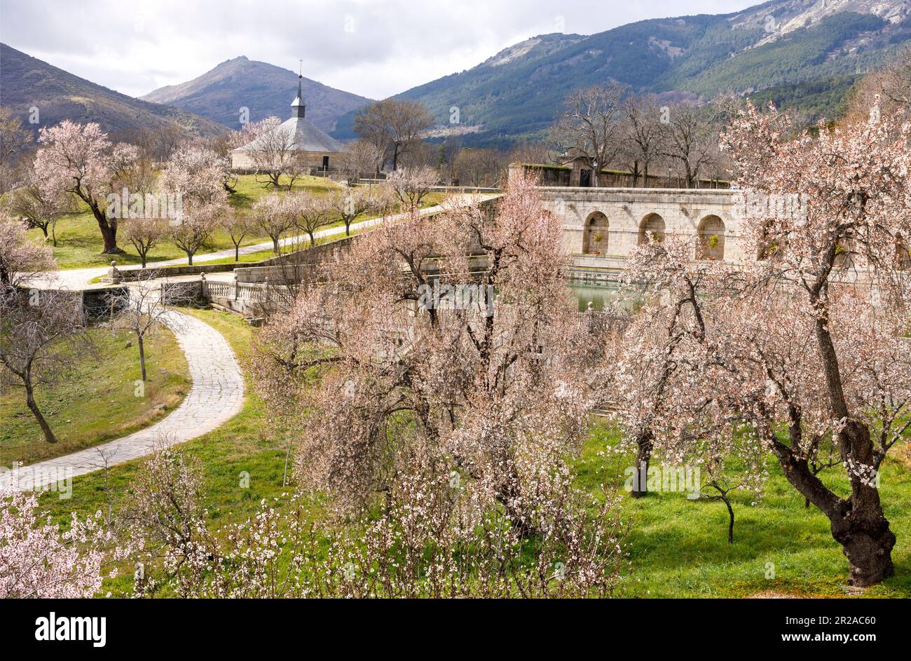 Spanien, San Lorenzo de El Escorial, El Escorial, Kloster und Örtlichkeit, Madrid. Frühlingsblüten auf dem Gelände einer spanischen königlichen Stätte Stockfoto